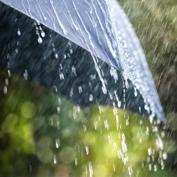 89412584_xl-感濕變色-裁剪版.jpg 89412584_xl-感濕變色-裁剪版.jpg